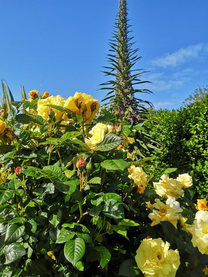 Chambre Dans Maison Fleurie Et Calme Bed & Breakfast Ploemeur Luaran gambar